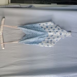 We are hah French blue teddy